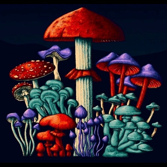 Hello! Thank you - Picture 3 of 3